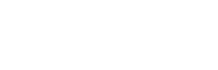 Carter Simmons Logo